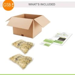 1-Year, EveryDaylily Pink Wing Daylily Flower Bulbs (Bag Of 20) -J Parkers Garden Store garden state bulb flower bulbs ecs 64 20 02 fa 1000