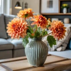 #1, Go-Go Peach Dahlia Flower Bulbs Bare Roots (Bag Of 12) -J Parkers Garden Store garden state bulb flower bulbs ecs 66 12 03 31 1000