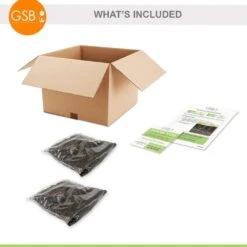 #1, Bishop Of Llandaff Dahlia Flower Bulbs Bare Roots (Bag Of 8) -J Parkers Garden Store garden state bulb flower bulbs ecs 67 08 02 fa 1000