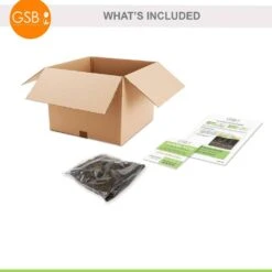 #1, HS Kiss Single Dahlia Flower Bulbs Bare Roots (Bag Of 4) -J Parkers Garden Store garden state bulb flower bulbs ecs 69 04 01 fa 1000