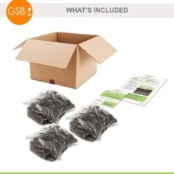 2/3 Eyes, Karl Rosenfield Peony Flower Bulbs Bare Roots (Bag Of 9) -J Parkers Garden Store garden state bulb flower bulbs ecs 71 09 03 fa 1000