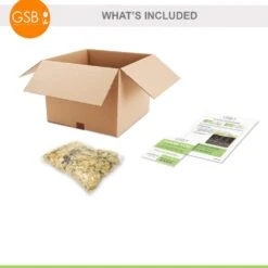 Fancy Red Flash Caladium Bulbs, Bare Roots (Bag Of 10) -J Parkers Garden Store garden state bulb flower bulbs ecs 81 10 01 fa 1000