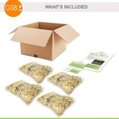 #2, Mixed Caladium Bulbs, Bare Roots (Bag Of 40) -J Parkers Garden Store garden state bulb flower bulbs ecs 84 40 04 fa 1000