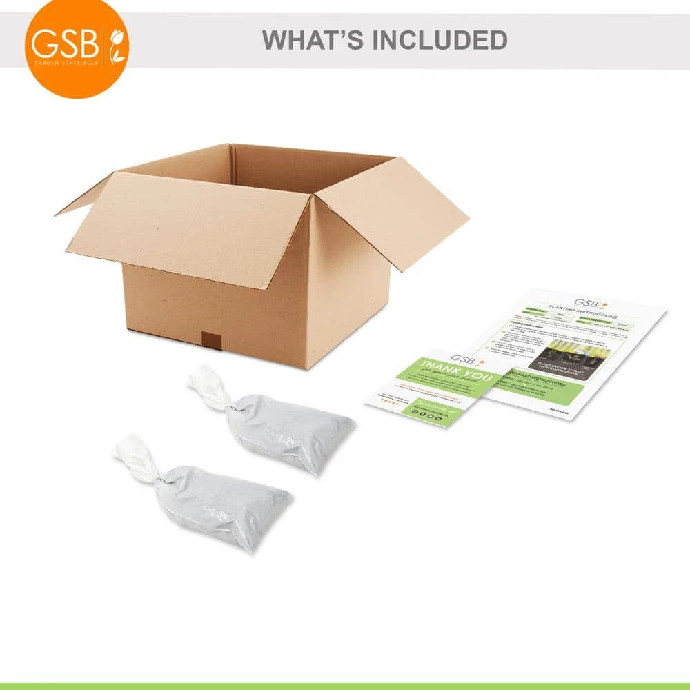 Strawberry Ozark Beauty, Live Bare Root (Bag Of 20) 4 Strawberry Ozark Beauty, Live Bare Root (Bag Of 20) - Image 2