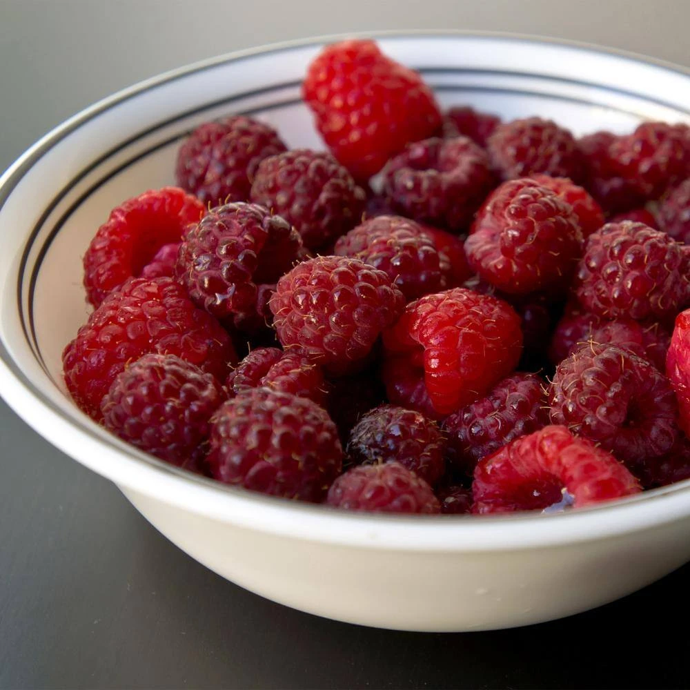 1-Year, Brandywine Raspberry Plant, Live Bare Root, Non-GMO (Bag Of 1) 10 1-Year, Brandywine Raspberry Plant, Live Bare Root, Non-GMO (Bag Of 1) - Image 8