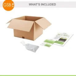 Tristar Everbearing Strawberry Bare Roots, Non-GMO (Bag Of 10) -J Parkers Garden Store garden state bulb fruit plants ecs 79 10 01 fa 1000