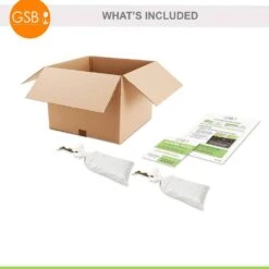 1-Year, Himrod Seedless Grape Bare Roots, Non-GMO (Bag Of 2) 16 1-Year, Himrod Seedless Grape Bare Roots, Non-GMO (Bag Of 2) -J Parkers Garden Store garden state bulb fruit plants ecs 80 02 02 76 1000