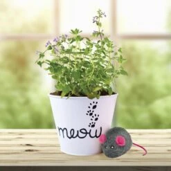 Catnip Herb Grow Kit With Mouse Toy (2-Pack) -J Parkers Garden Store garden state bulb hydroponic seed starters ech 18 02 01 31 1000