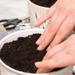 Cat Grass Herb Seed Grow Kit With Mouse Toy (2-Pack) -J Parkers Garden Store garden state bulb hydroponic seed starters ech 19 02 01 44 1000