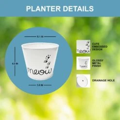 Cat Grass Herb Seed Grow Kit With Mouse Toy (2-Pack) -J Parkers Garden Store garden state bulb hydroponic seed starters ech 19 02 01 4f 1000