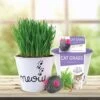 Cat Grass Herb Seed Grow Kit With Mouse Toy (2-Pack) -J Parkers Garden Store garden state bulb hydroponic seed starters ech 19 02 01 64 1000