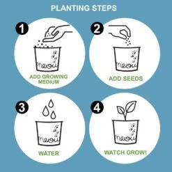 Cat Grass Herb Seed Grow Kit With Mouse Toy (2-Pack) -J Parkers Garden Store garden state bulb hydroponic seed starters ech 19 02 01 fa 1000