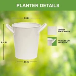 Herb Garden Kit With White Metal Planter (Cat Grass And Catnip) (2-Pack) 13 Herb Garden Kit With White Metal Planter (Cat Grass And Catnip) (2-Pack) -J Parkers Garden Store garden state bulb hydroponic seed starters ecs 34 cc 02 44 1000