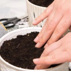 Herb Garden Kit With White Metal Planter (Cat Grass And Catnip) (2-Pack) 14 Herb Garden Kit With White Metal Planter (Cat Grass And Catnip) (2-Pack) -J Parkers Garden Store garden state bulb hydroponic seed starters ecs 34 cc 02 fa 1000