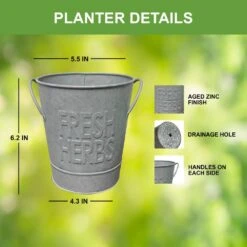 Herb Garden Kit With Aged Zinc Metal Planter (Cat Grass And Cat Nip) (2-Pack) -J Parkers Garden Store garden state bulb hydroponic seed starters ecs 44 cc 02 44 1000