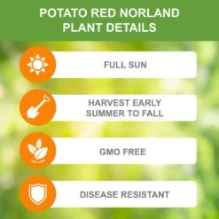 Red Norland Seed Potatoes For Planting (5 Lbs. Bag) -J Parkers Garden Store garden state bulb vegetables ecs 27 05 01 1f 1000