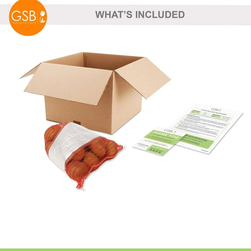 Yukon Gold Seed Potatoes For Planting (5 Lbs. Bag) 4 Yukon Gold Seed Potatoes For Planting (5 Lbs. Bag) - Image 2