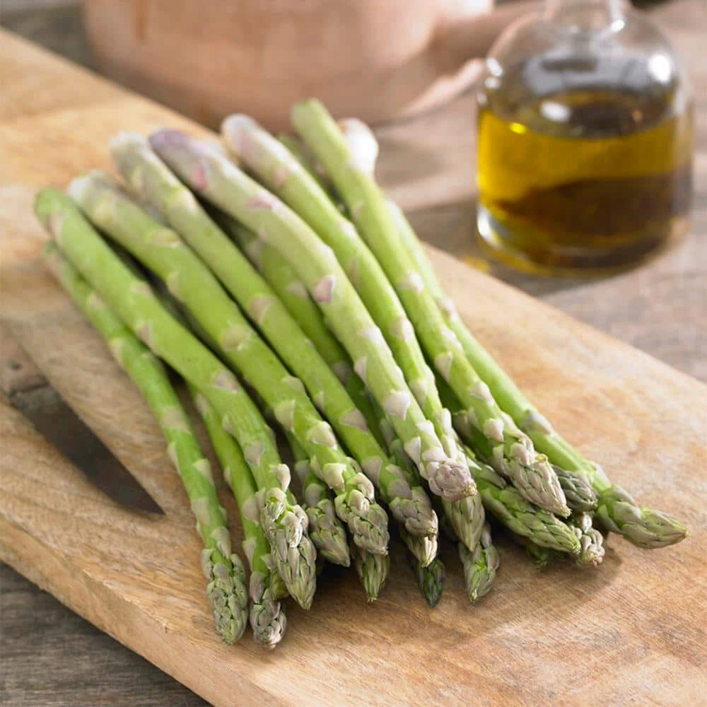 1-Year, Asparagus Mary Washington, Live Bare Root Plant (Bag Of 10) 10 1-Year, Asparagus Mary Washington, Live Bare Root Plant (Bag Of 10) - Image 8