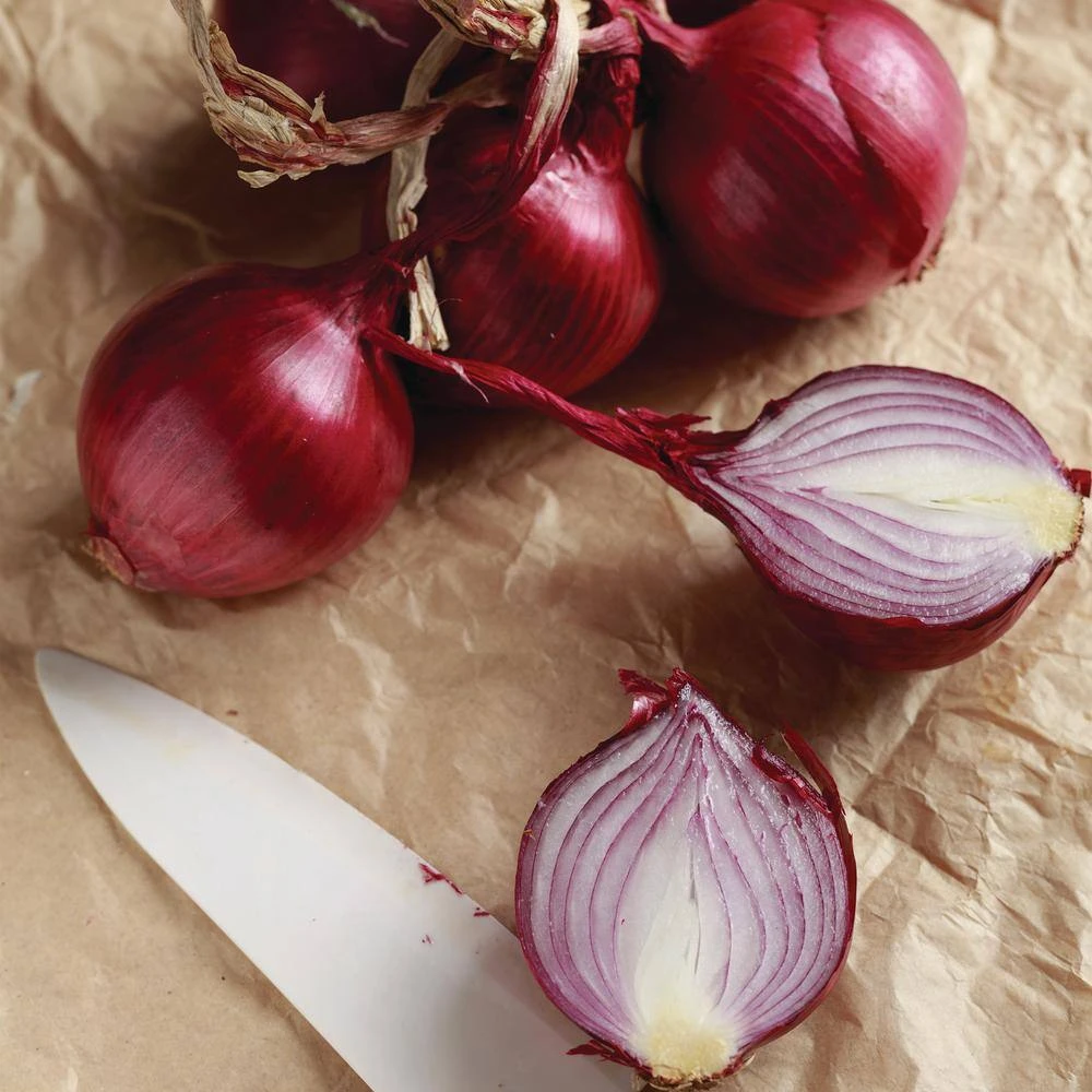 10/25mm, Red Baron Onion Sets For Planting (1 Lbs. Bag) 10 10/25mm, Red Baron Onion Sets For Planting (1 Lbs. Bag) - Image 8